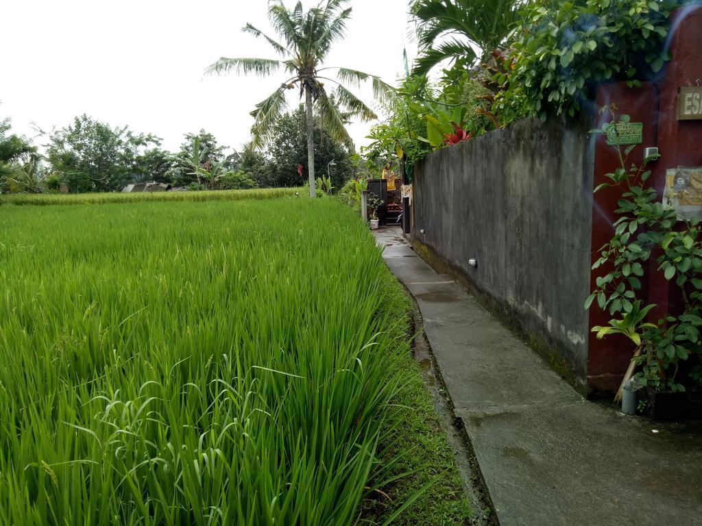 Villa Esa Ubud Zewnętrze zdjęcie